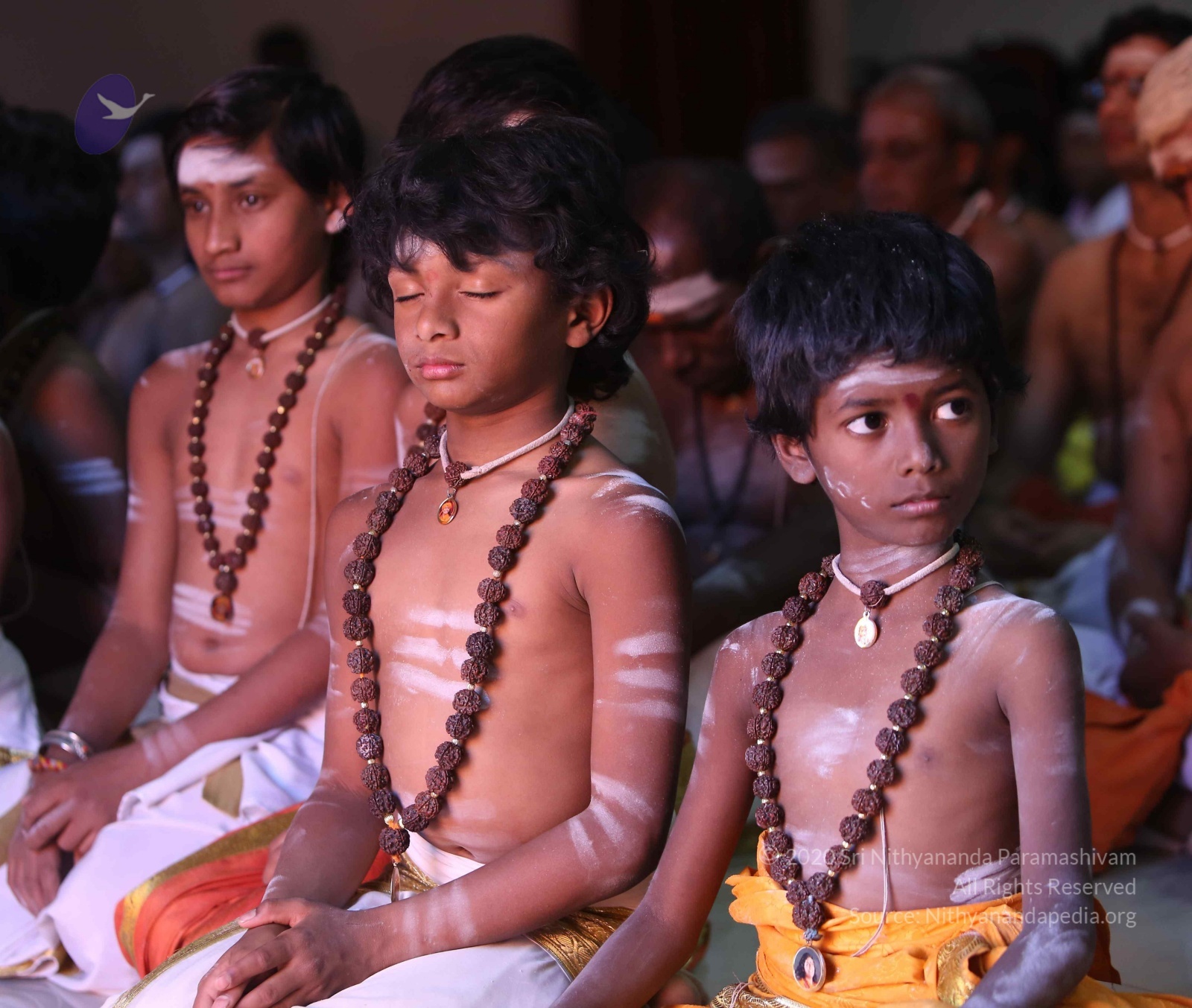 5F0A9449_CMP_WM done